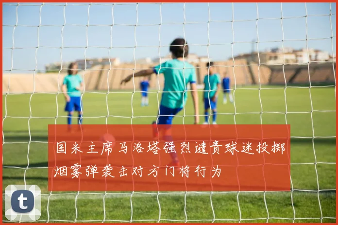 国米主席马洛塔强烈谴责球迷投掷烟雾弹袭击对方门将行为