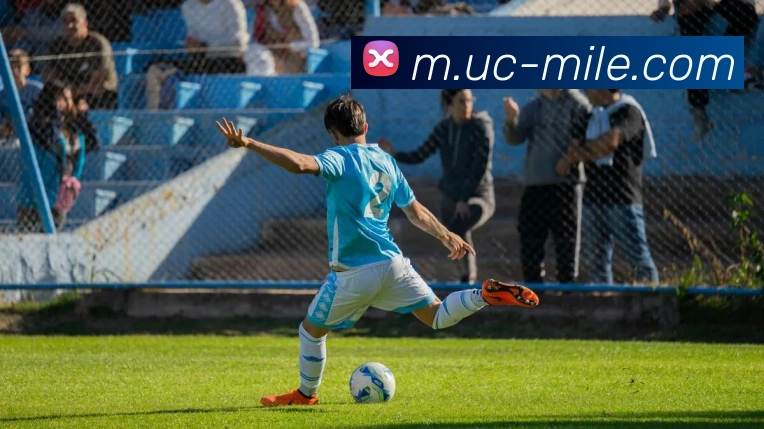 用户互动社区